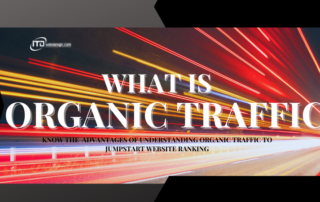 What Organic Traffic Is
